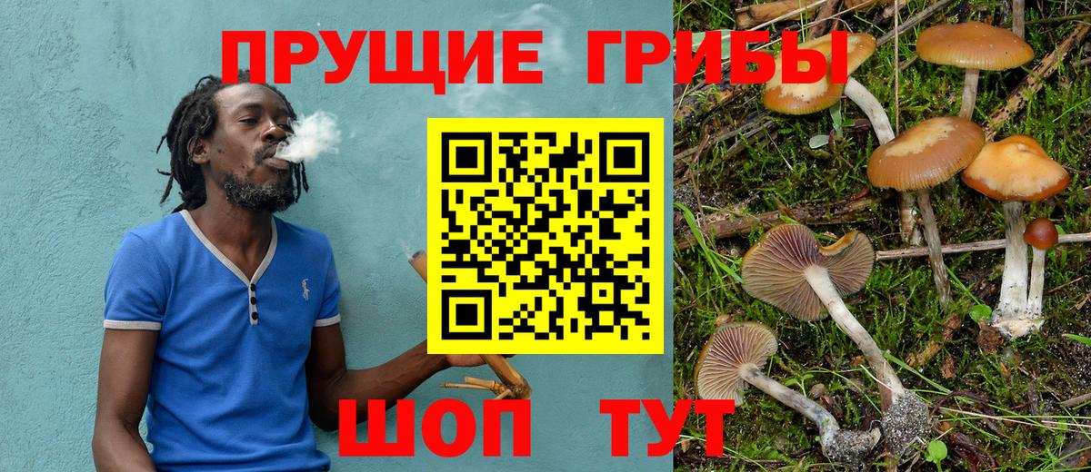 Александров  Галлюциногенные грибы Magic Shrooms  Вход с VPN 