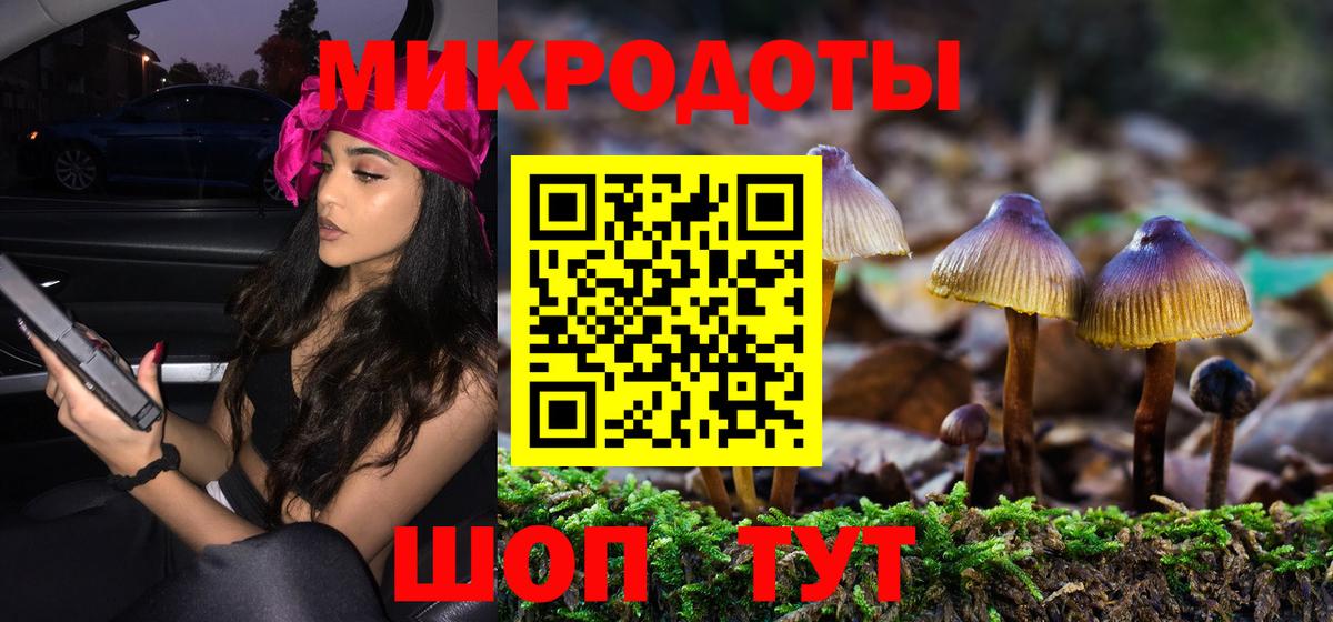 Псилоцибиновые грибы мицелий Александров